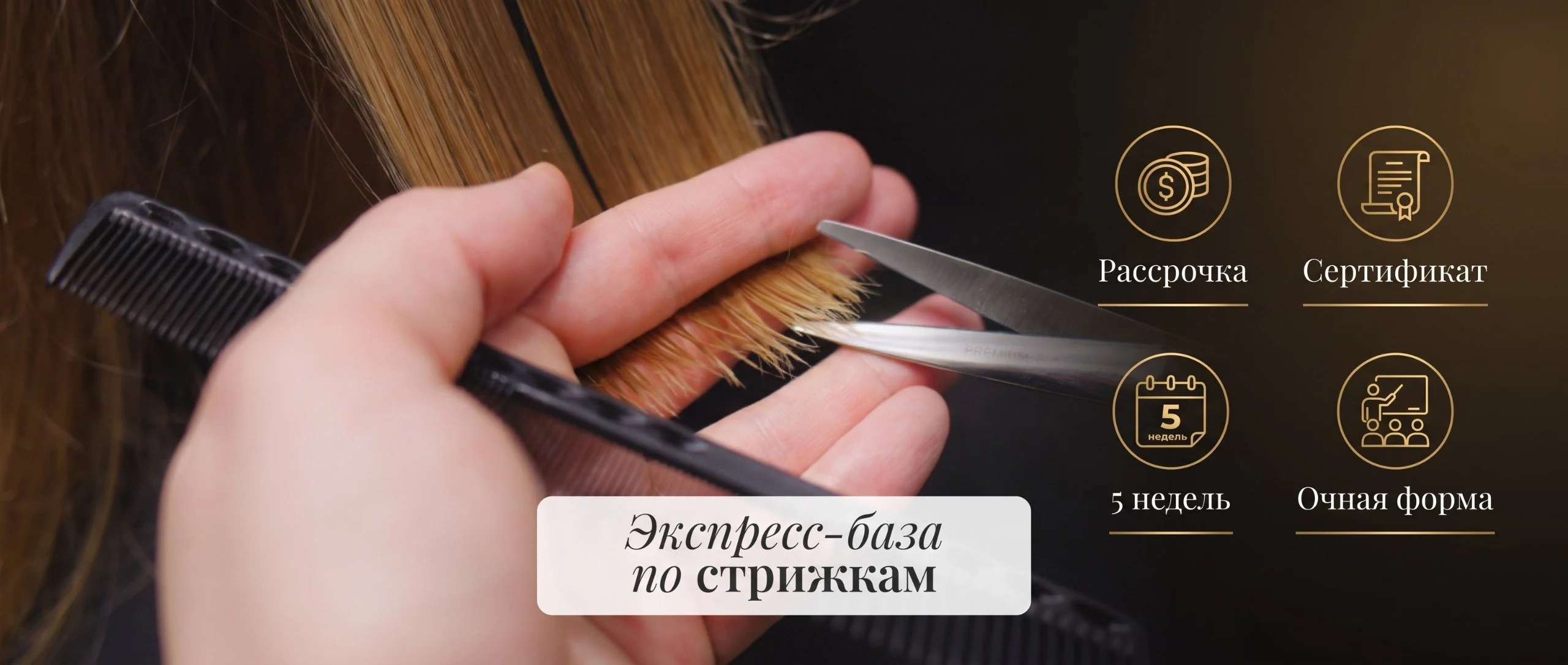 Экспресс-база по стрижкам